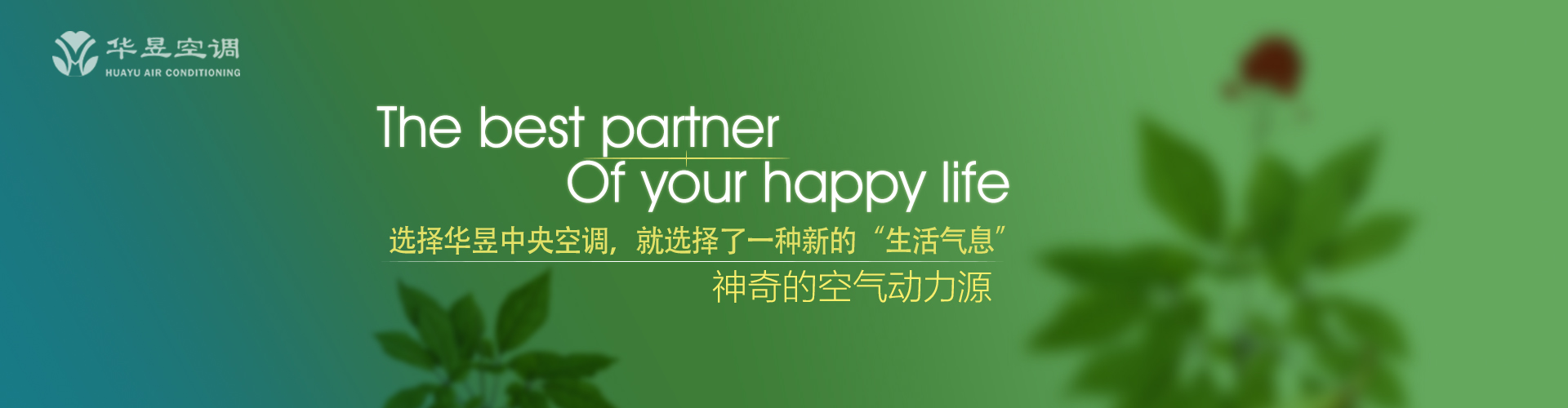 撮土焚香网